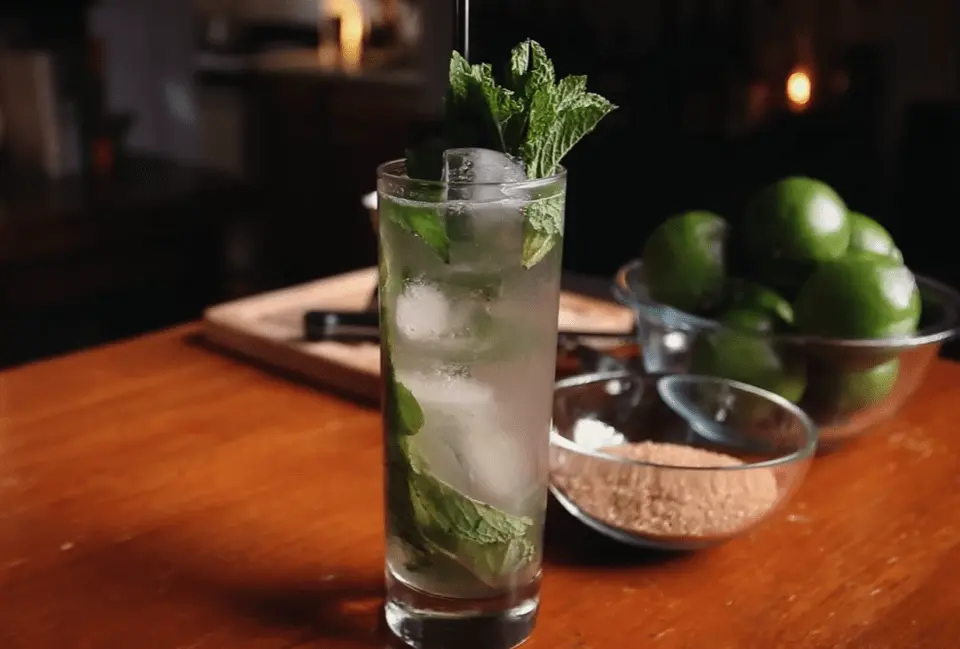 SNELLE MOJITO