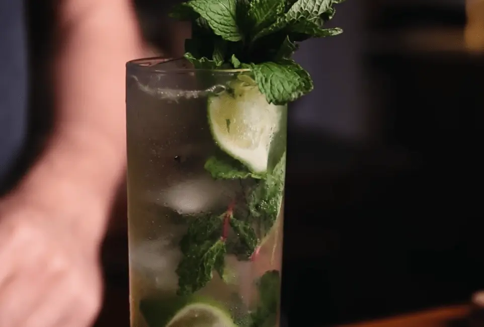 LANGZAME MOJITO